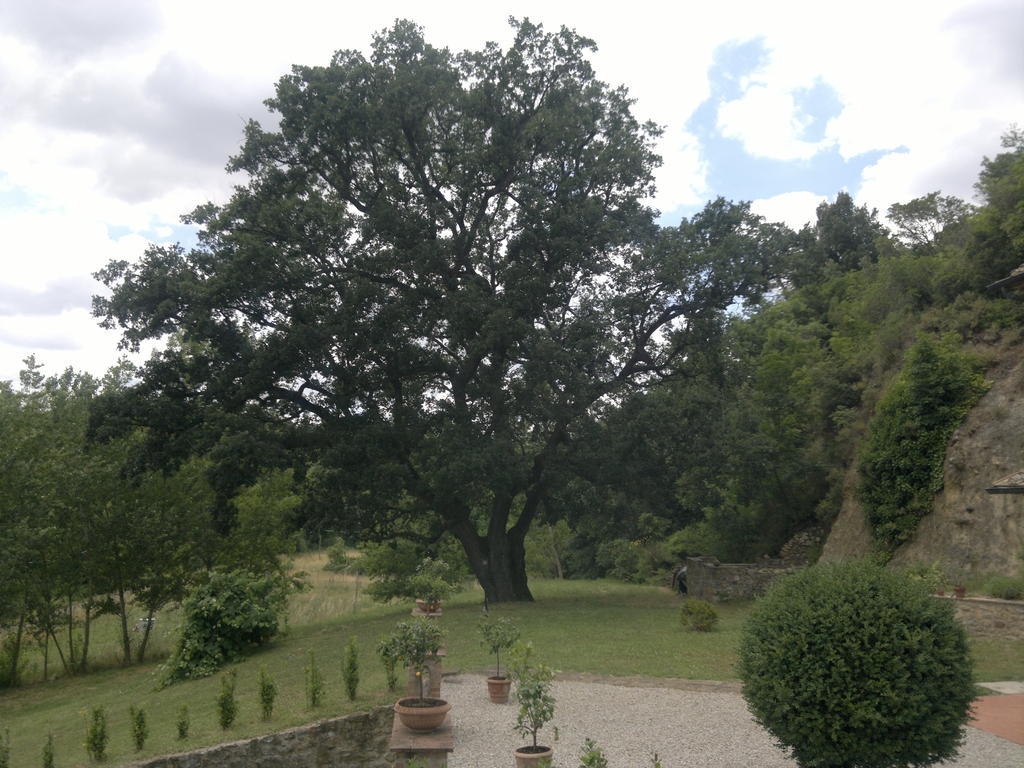 Casa de hóspedes Loghino 3*
